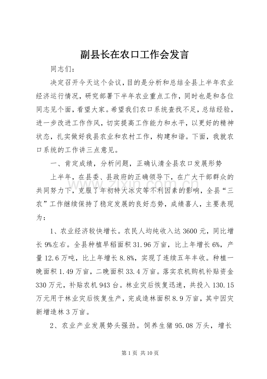 副县长在农口工作会发言.docx_第1页