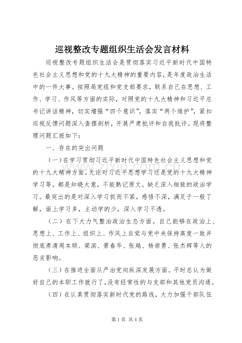 巡视整改专题组织生活会发言材料.docx_第1页