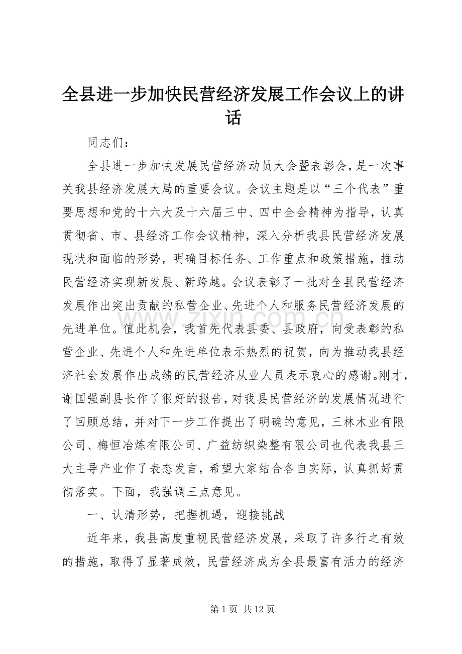 全县进一步加快民营经济发展工作会议上的讲话.docx_第1页