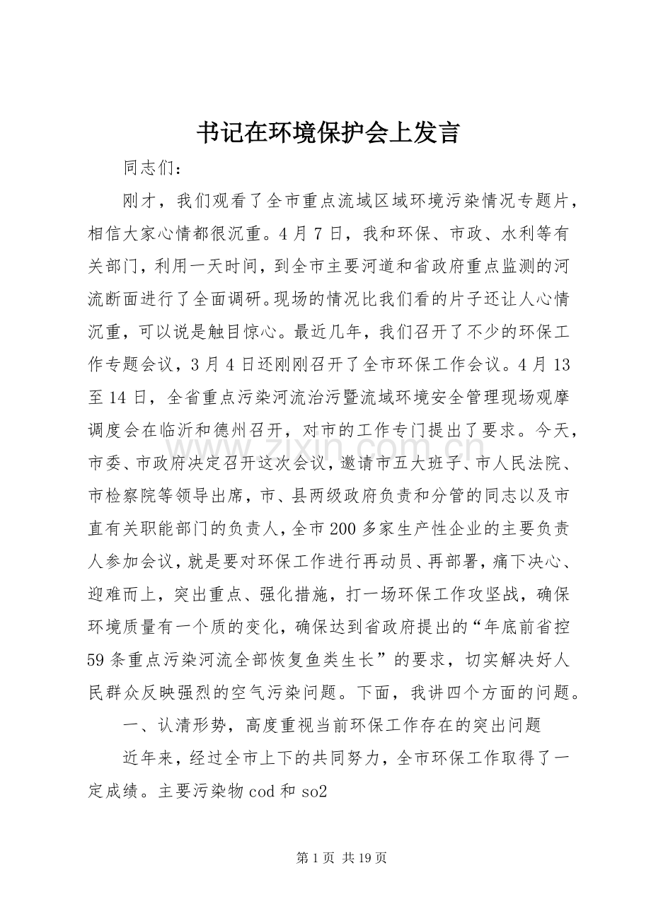 书记在环境保护会上发言.docx_第1页