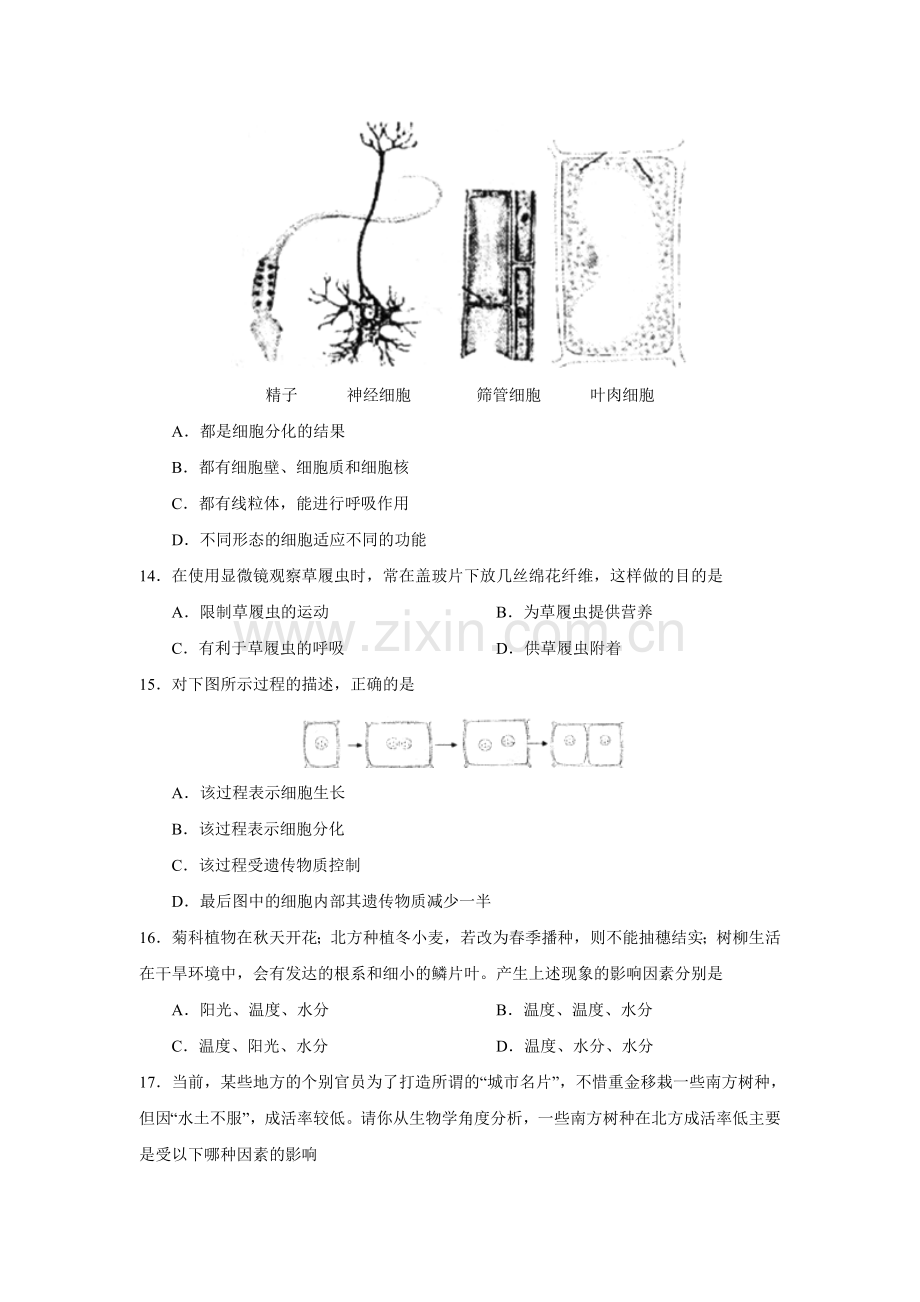 初一生物期中试题 (4).doc_第3页