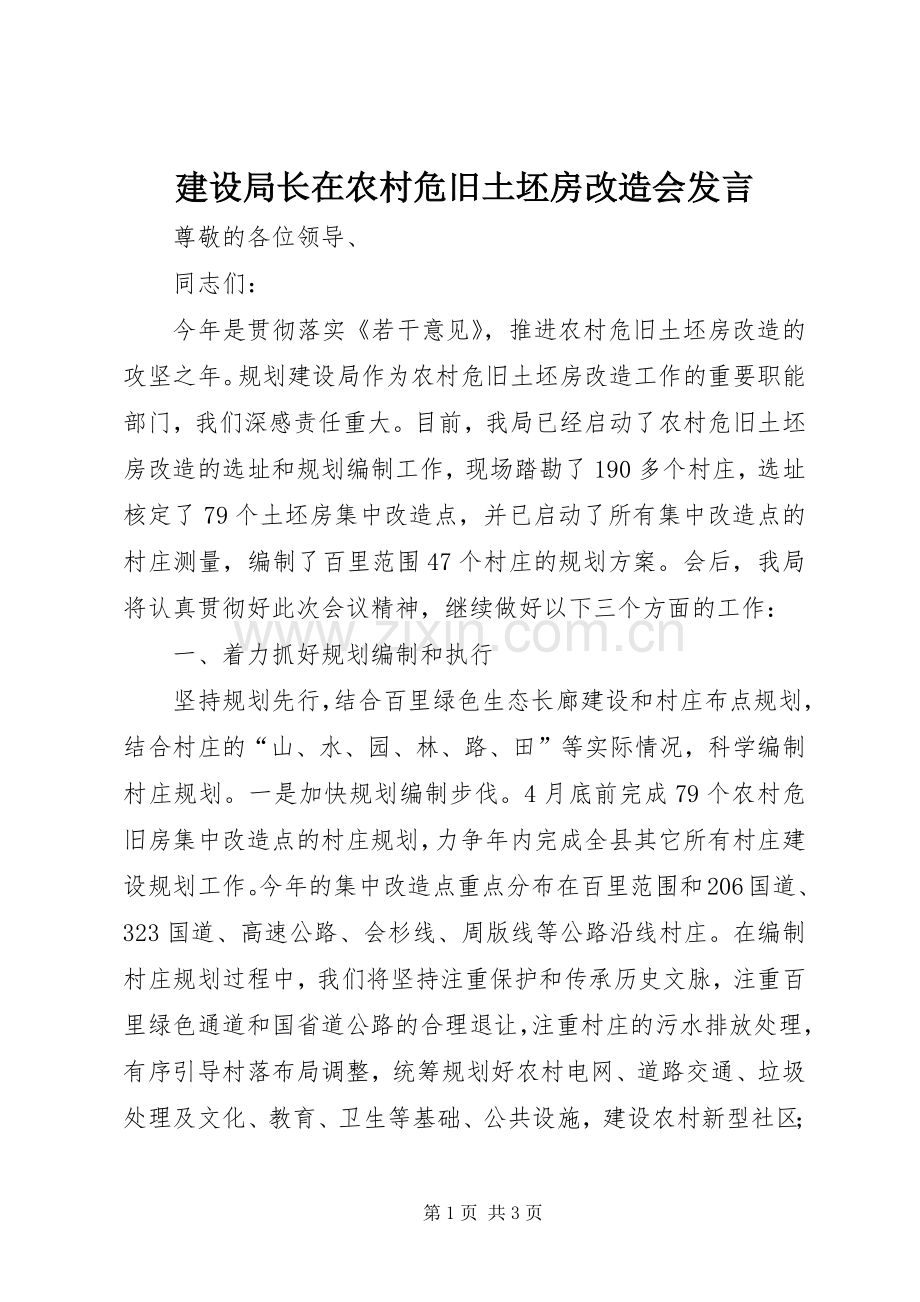 建设局长在农村危旧土坯房改造会发言.docx_第1页