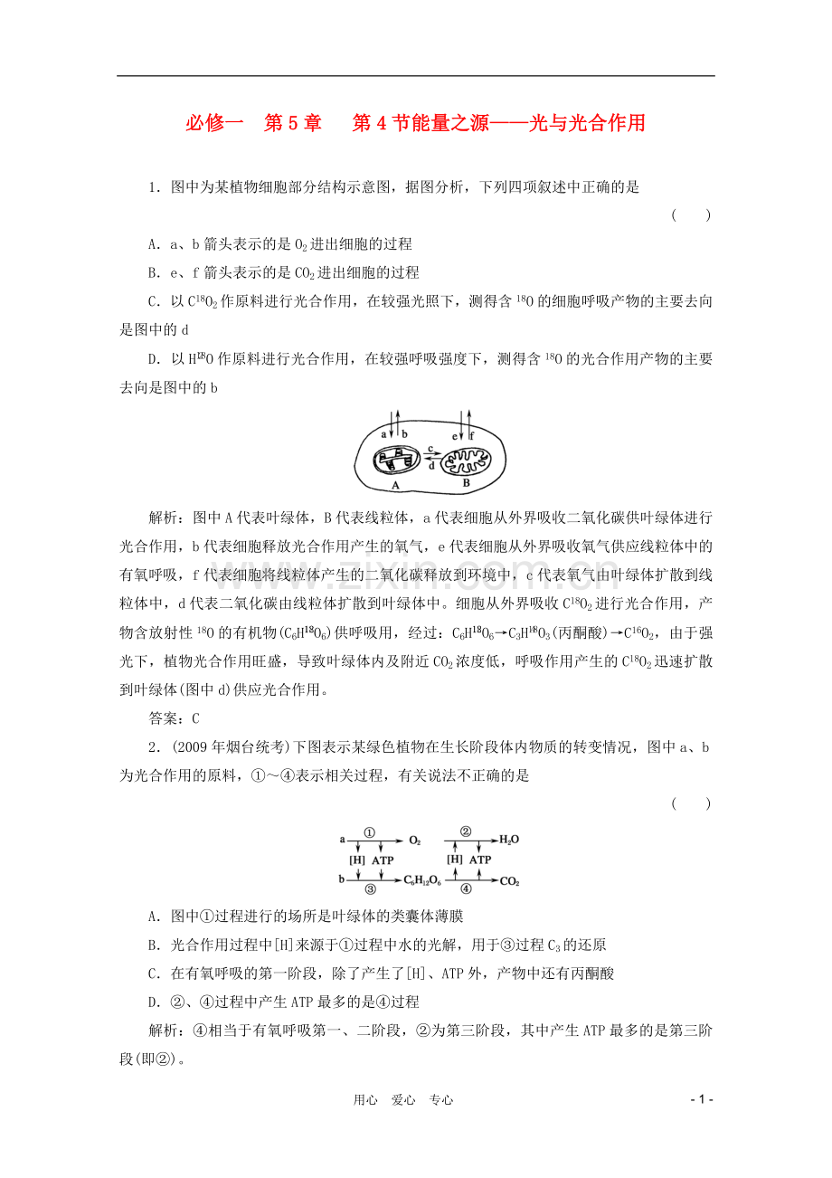 高三生物一轮复习-5.4-能量之源——光与光合作用章节检测试题-新人教版必修1.doc_第1页