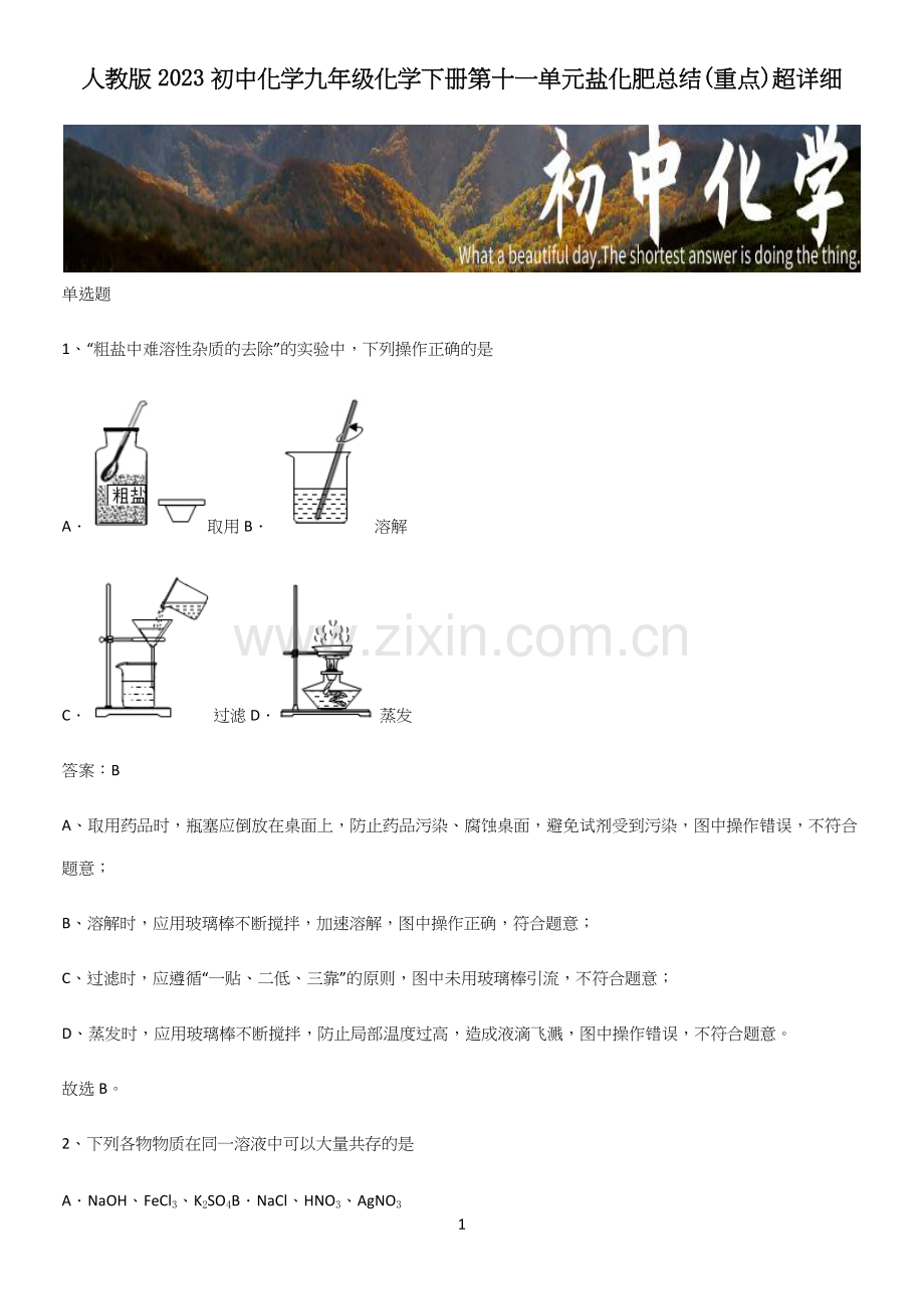 人教版2023初中化学九年级化学下册第十一单元盐化肥总结(重点).docx_第1页