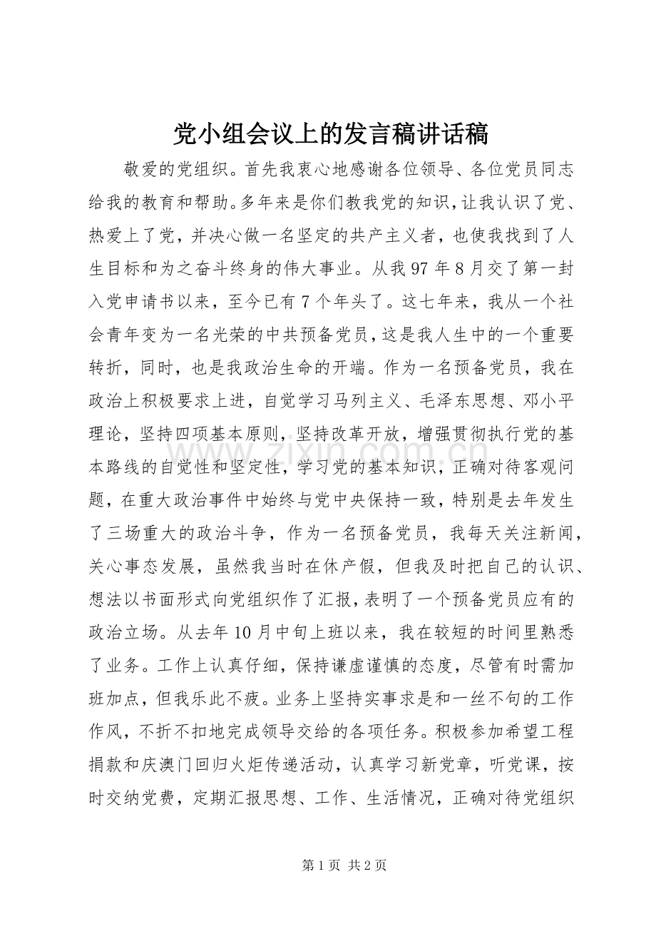 党小组会议上的发言稿讲话稿.docx_第1页