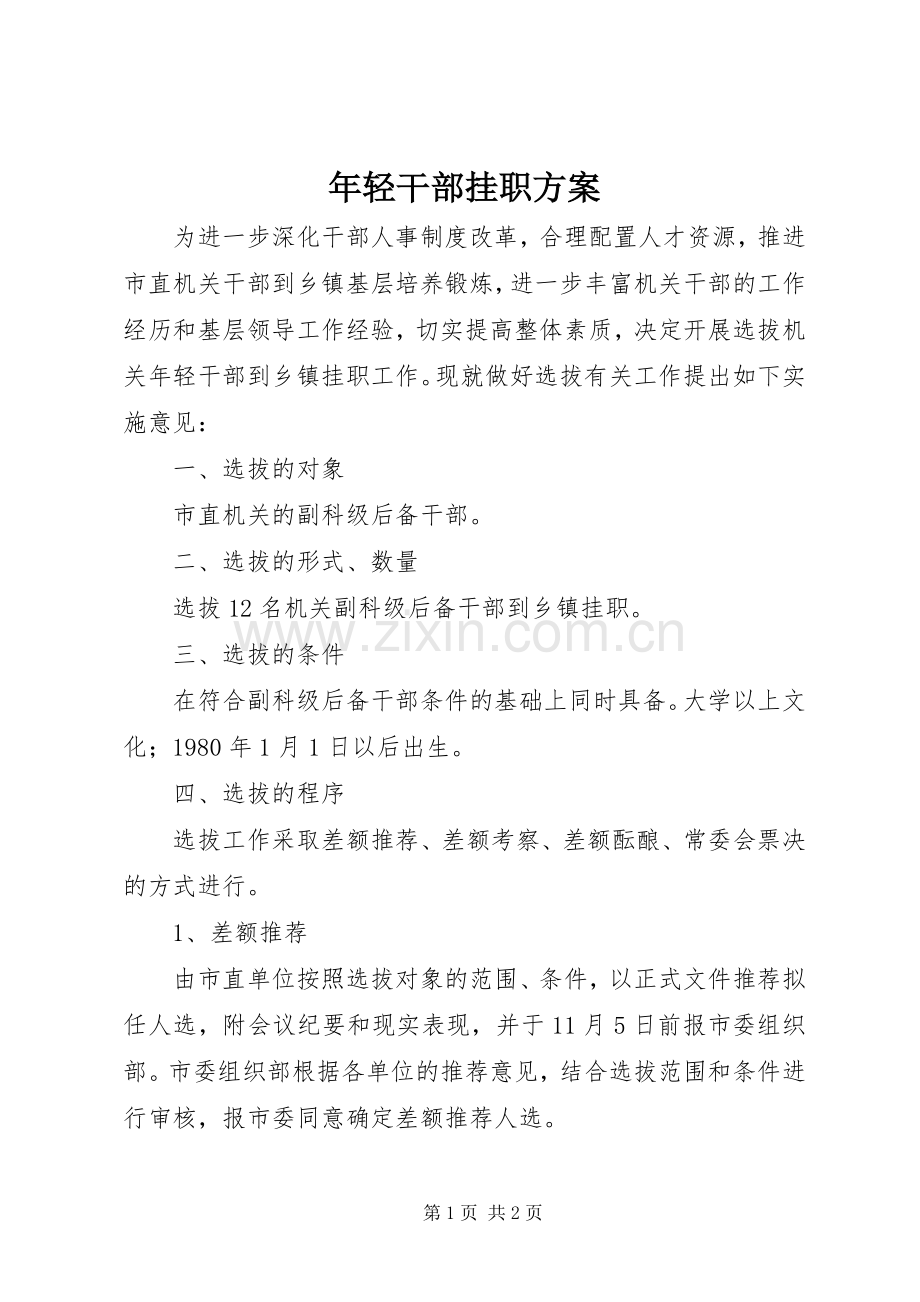 年轻干部挂职实施方案.docx_第1页