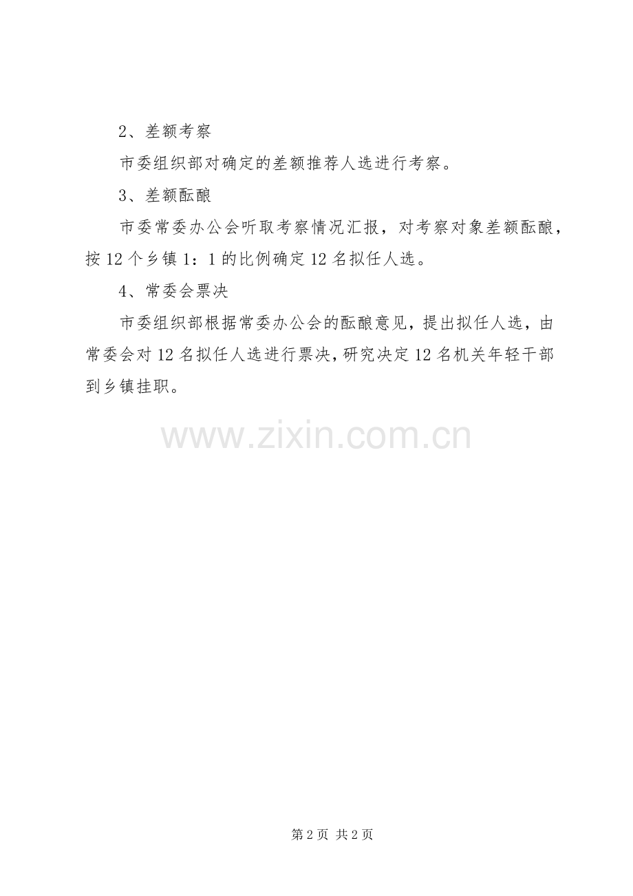 年轻干部挂职实施方案.docx_第2页