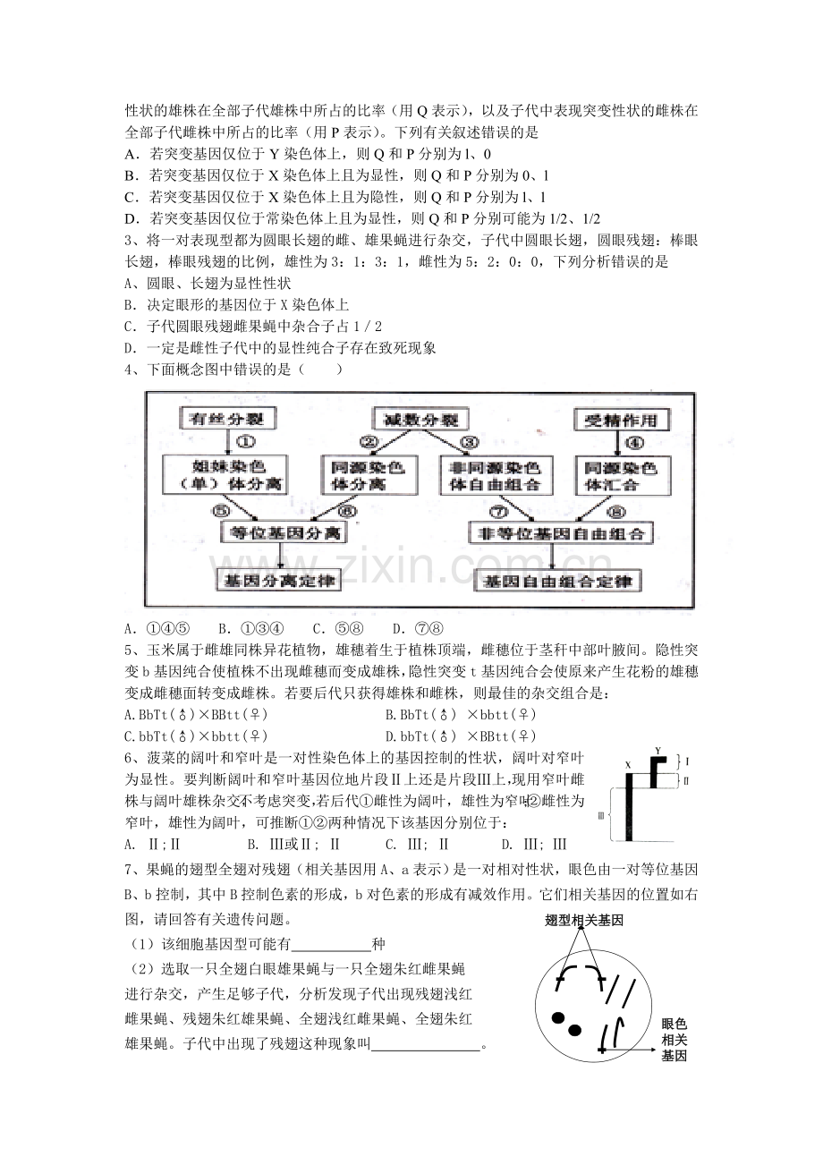 2016届高三生物培优讲义(四).doc_第3页