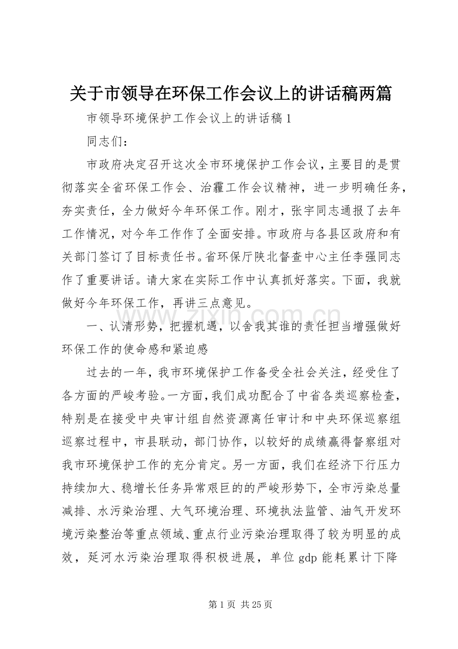 关于市领导在环保工作会议上的讲话稿两篇.docx_第1页