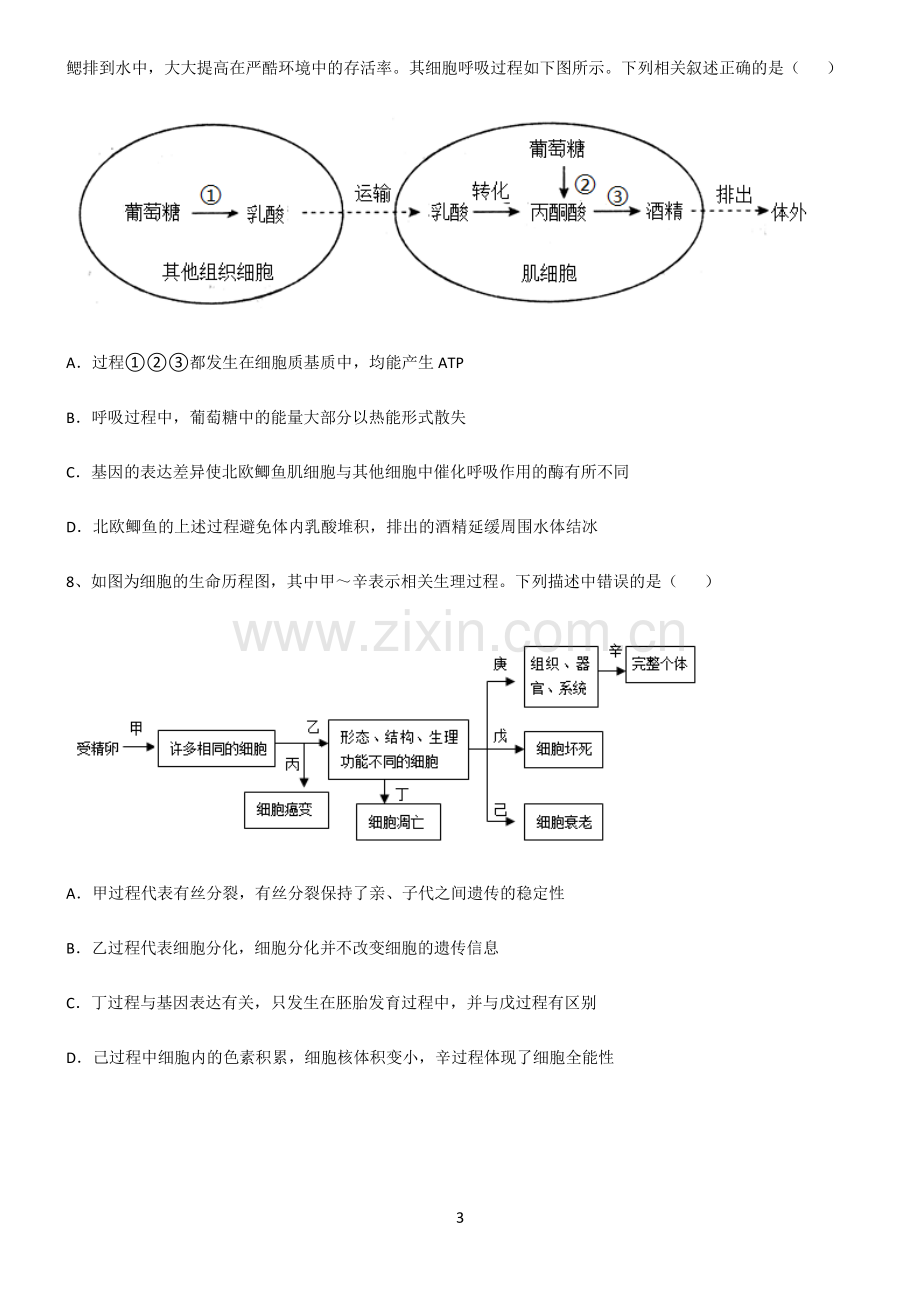 (文末附答案)2022届高中生物细胞的生命历程经典大题例题.pdf_第3页