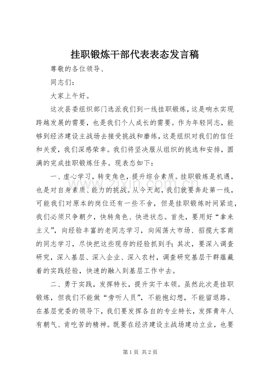 挂职锻炼干部代表表态发言稿.docx_第1页