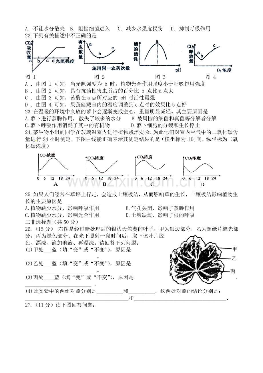 中考生物专题训练-四-生物圈中的绿色植物.doc_第3页