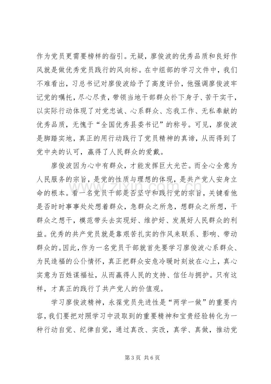 学习廖俊波先进事迹心得体会三篇.docx_第3页