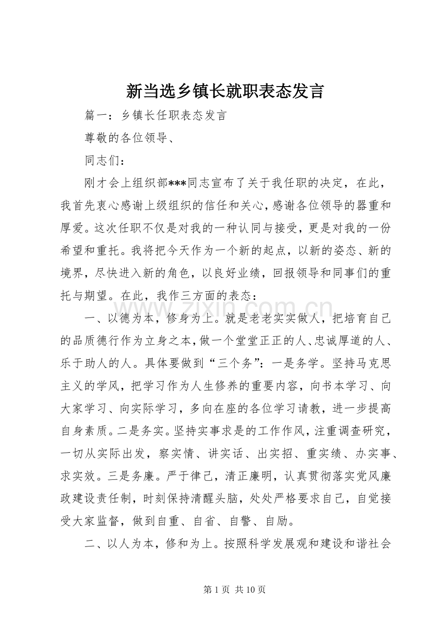 新当选乡镇长就职表态发言.docx_第1页