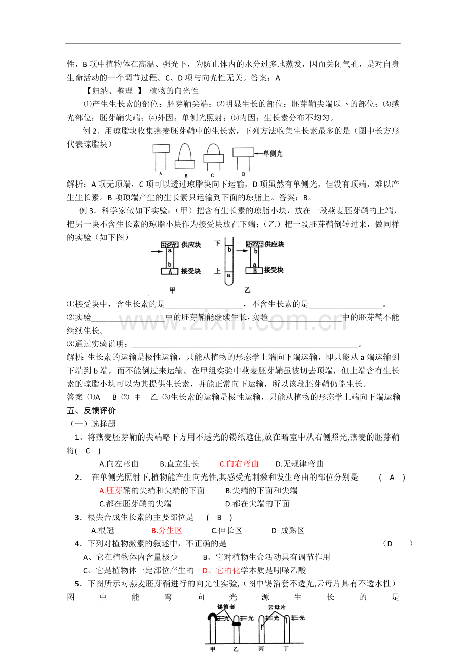 高三生物一轮复习提纲3.doc_第3页