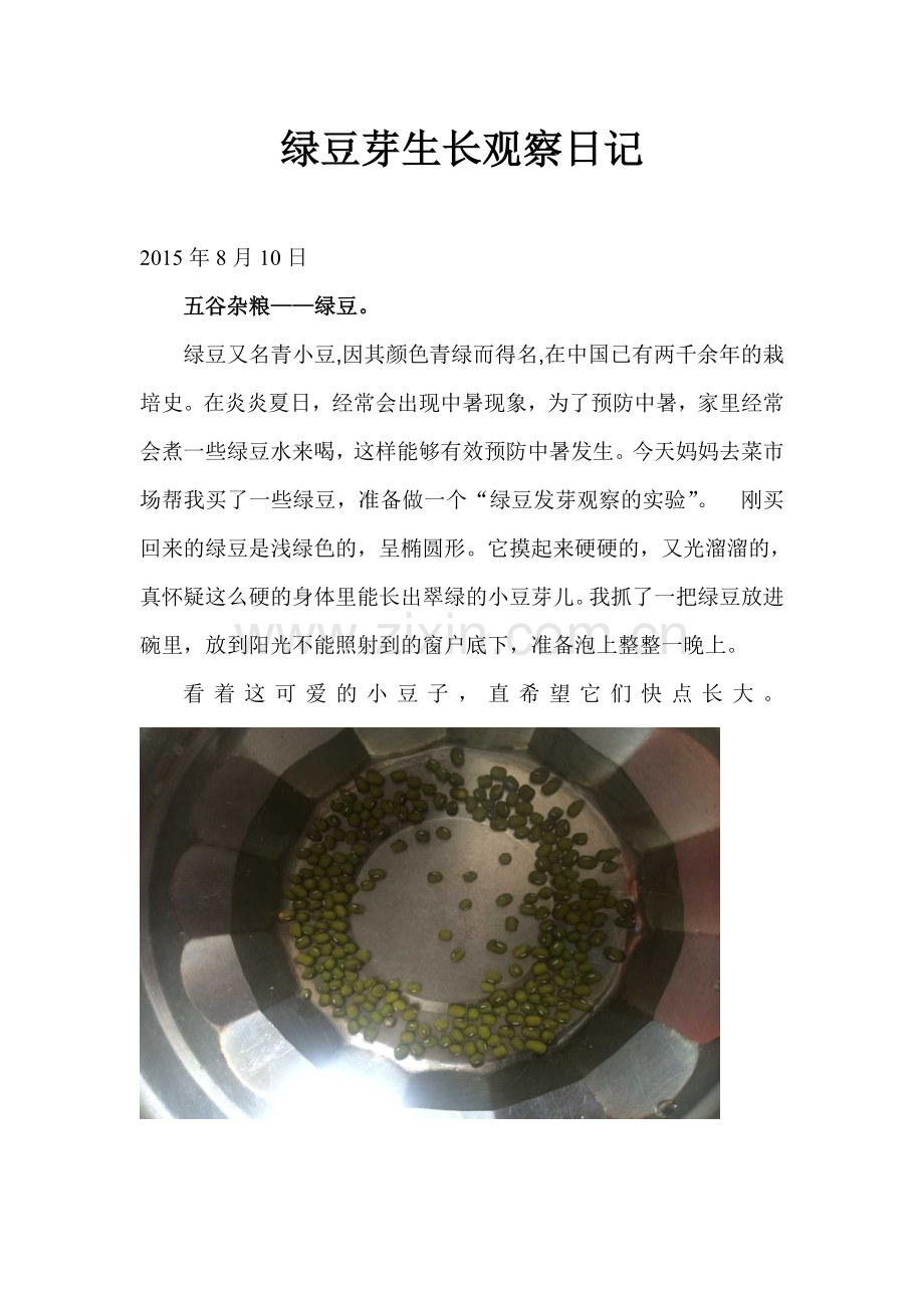 绿豆芽生长观察日记.doc_第1页