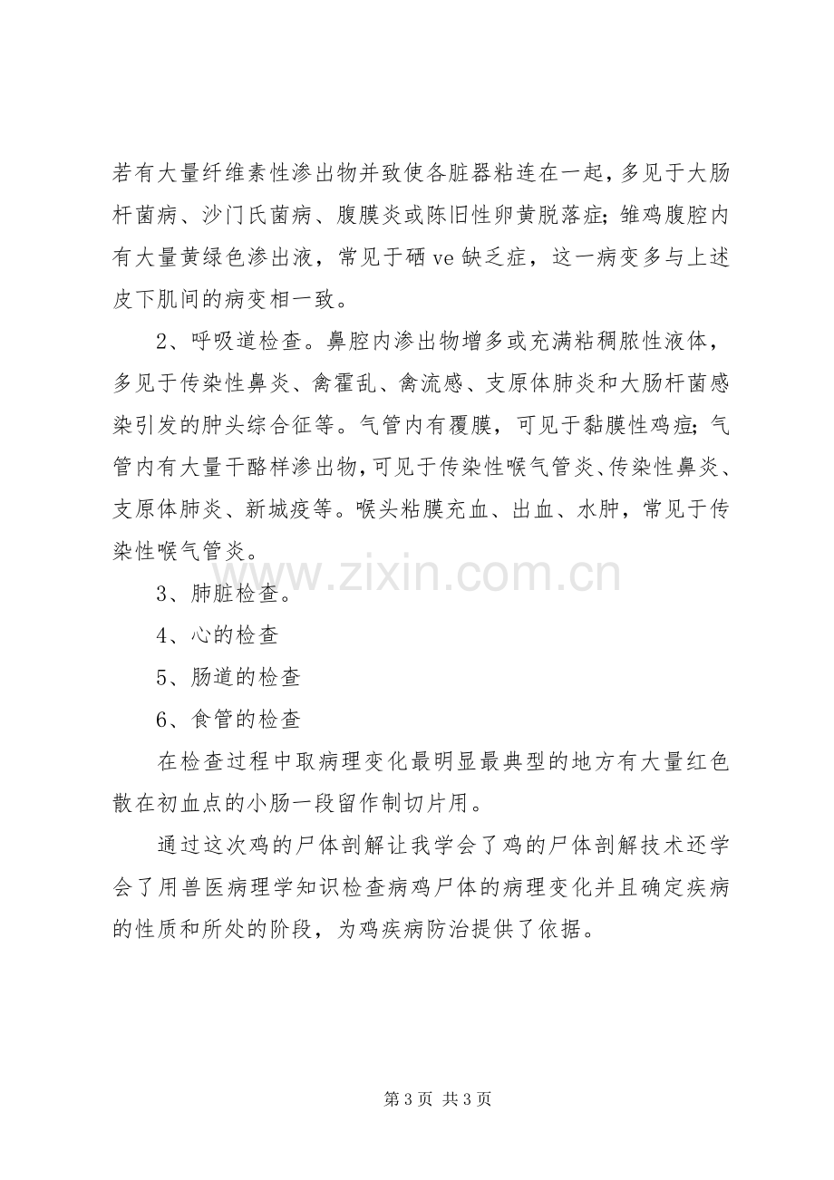 鸡病理解剖心得体会1.docx_第3页