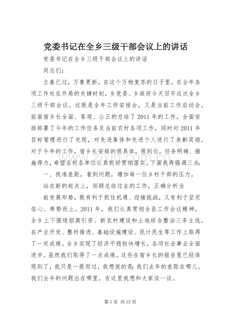 党委书记在全乡三级干部会议上的讲话.docx_第1页