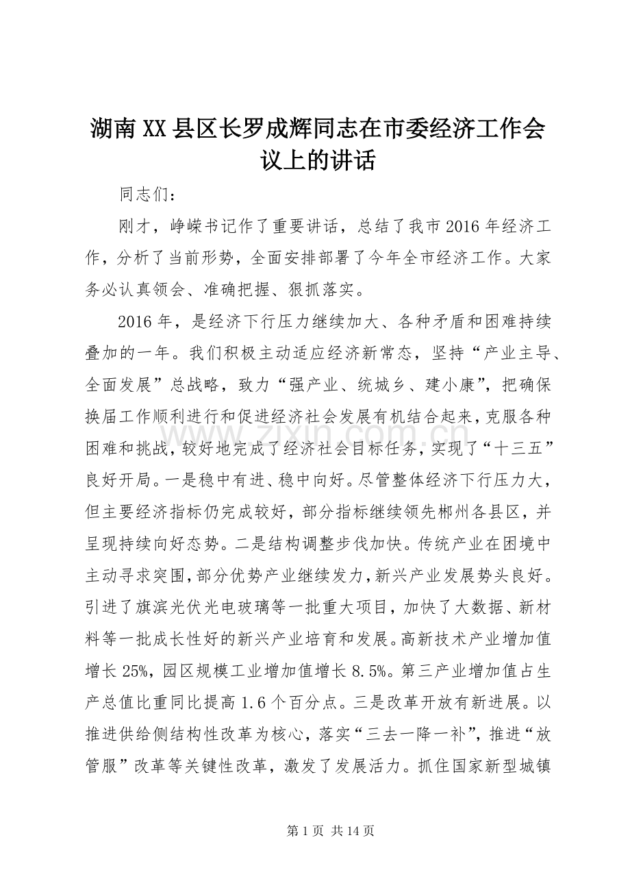 湖南XX县区长罗成辉同志在市委经济工作会议上的讲话.docx_第1页