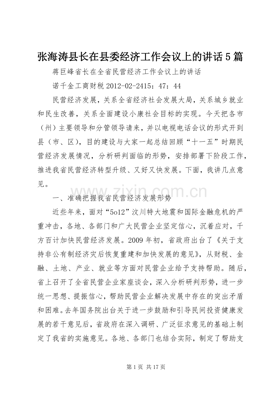 张海涛县长在县委经济工作会议上的讲话5篇.docx_第1页