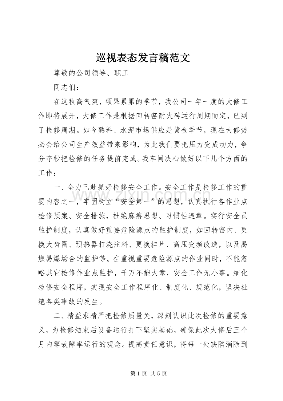 巡视表态发言稿范文.docx_第1页