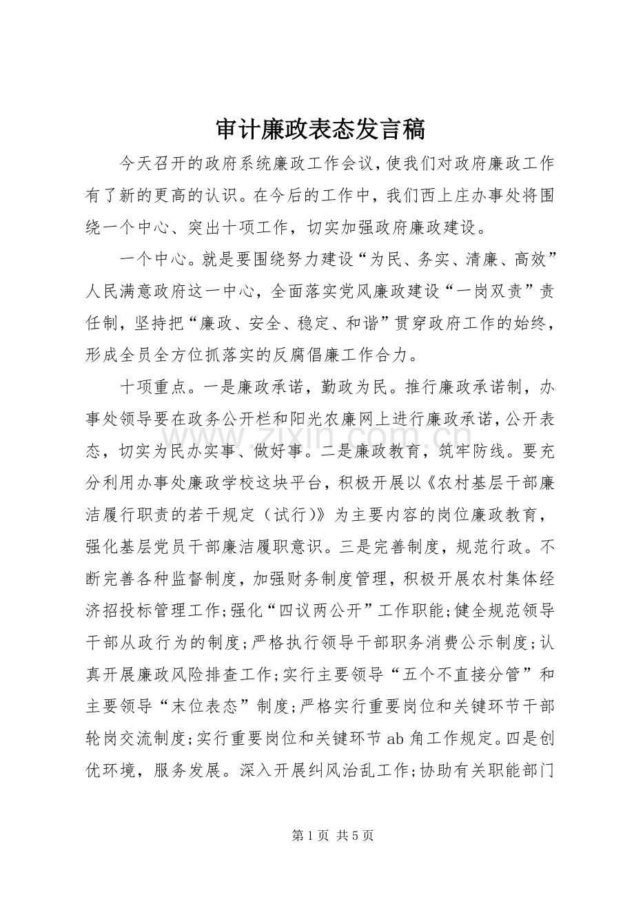 审计廉政表态发言稿.docx_第1页