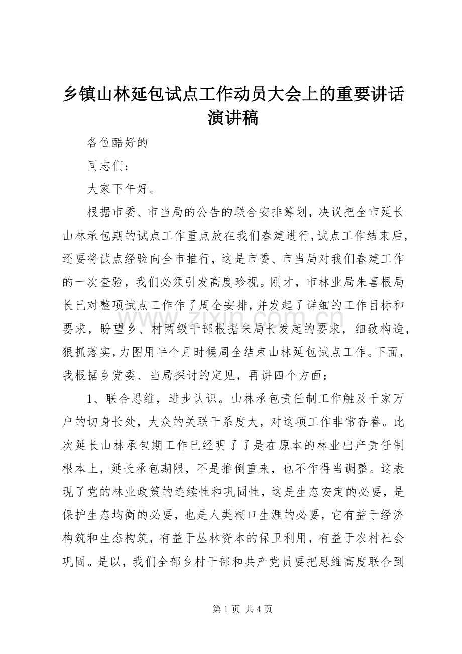 乡镇山林延包试点工作动员大会上的重要讲话演讲稿.docx_第1页