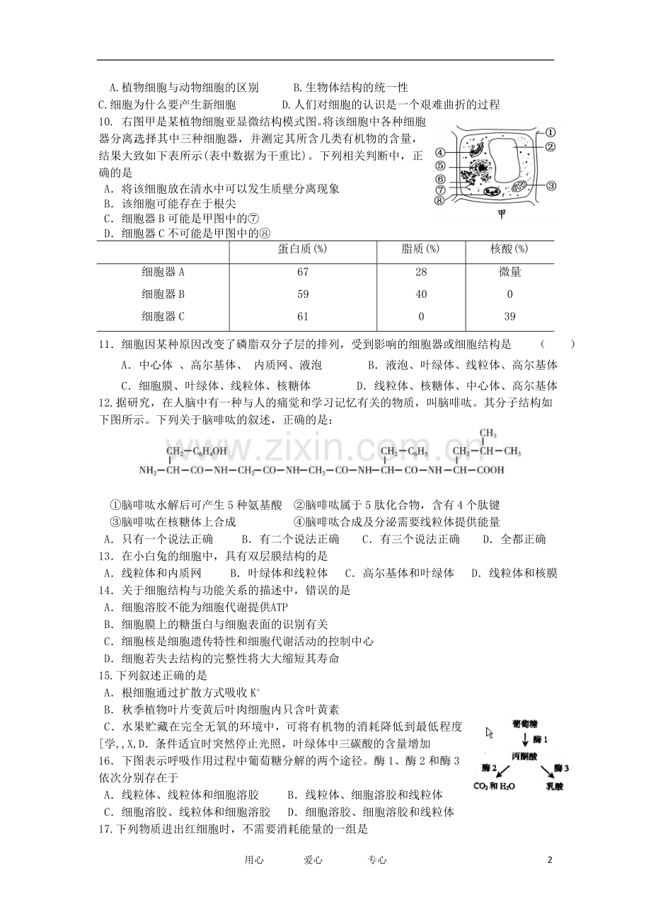 浙江省新安江2012-2013学年高二生物上学期期中考试试题浙科版.doc_第2页