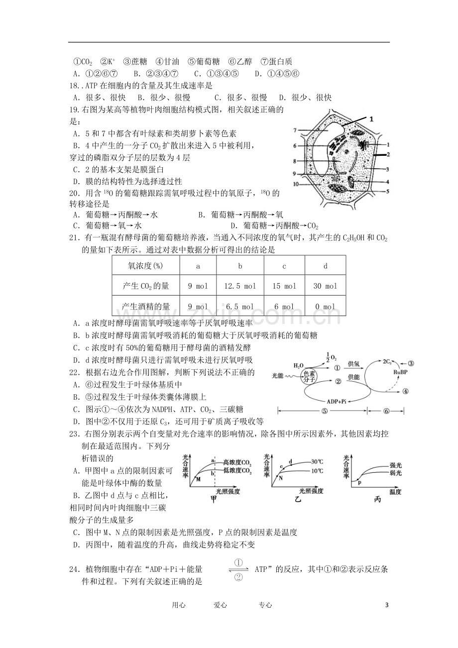 浙江省新安江2012-2013学年高二生物上学期期中考试试题浙科版.doc_第3页