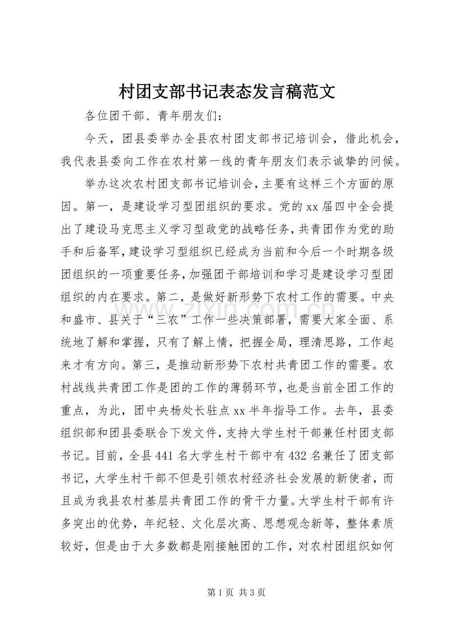 村团支部书记表态发言稿范文.docx_第1页