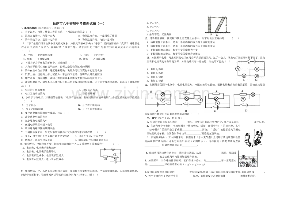 拉萨市八中物理中考模拟试题(一).doc_第1页