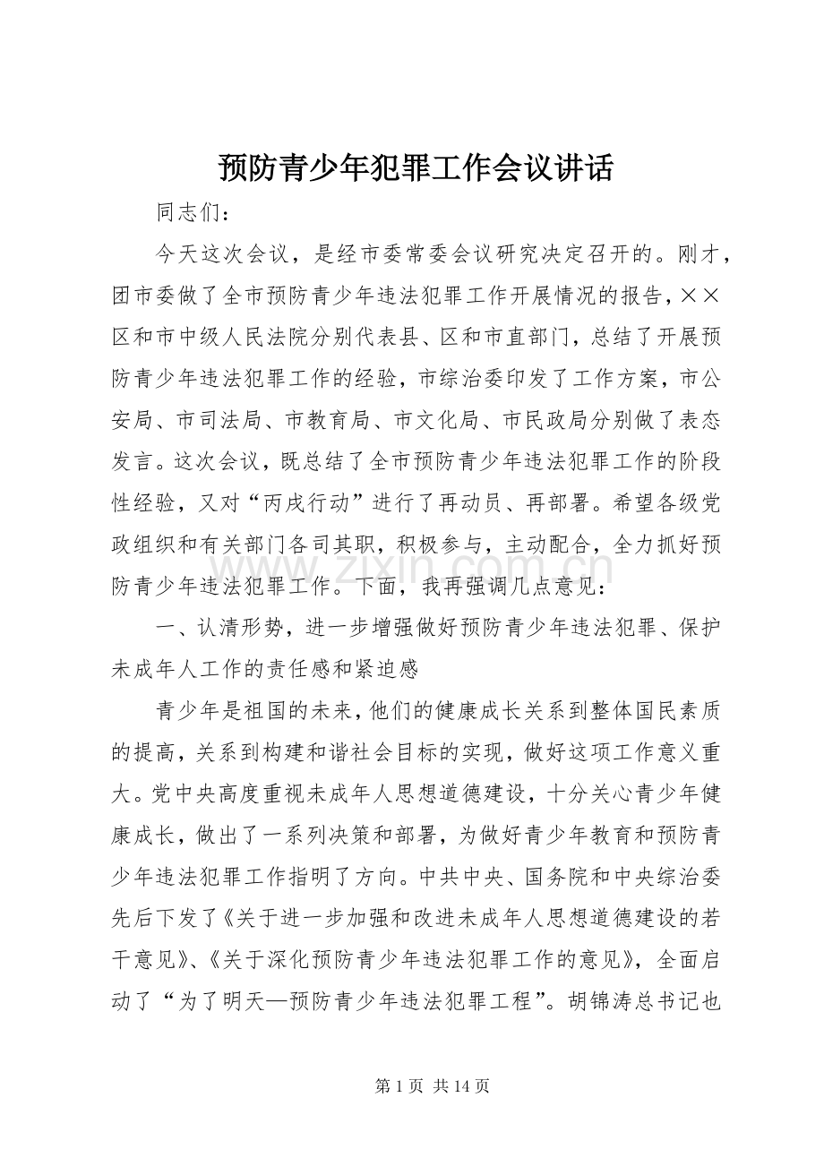 预防青少年犯罪工作会议讲话.docx_第1页