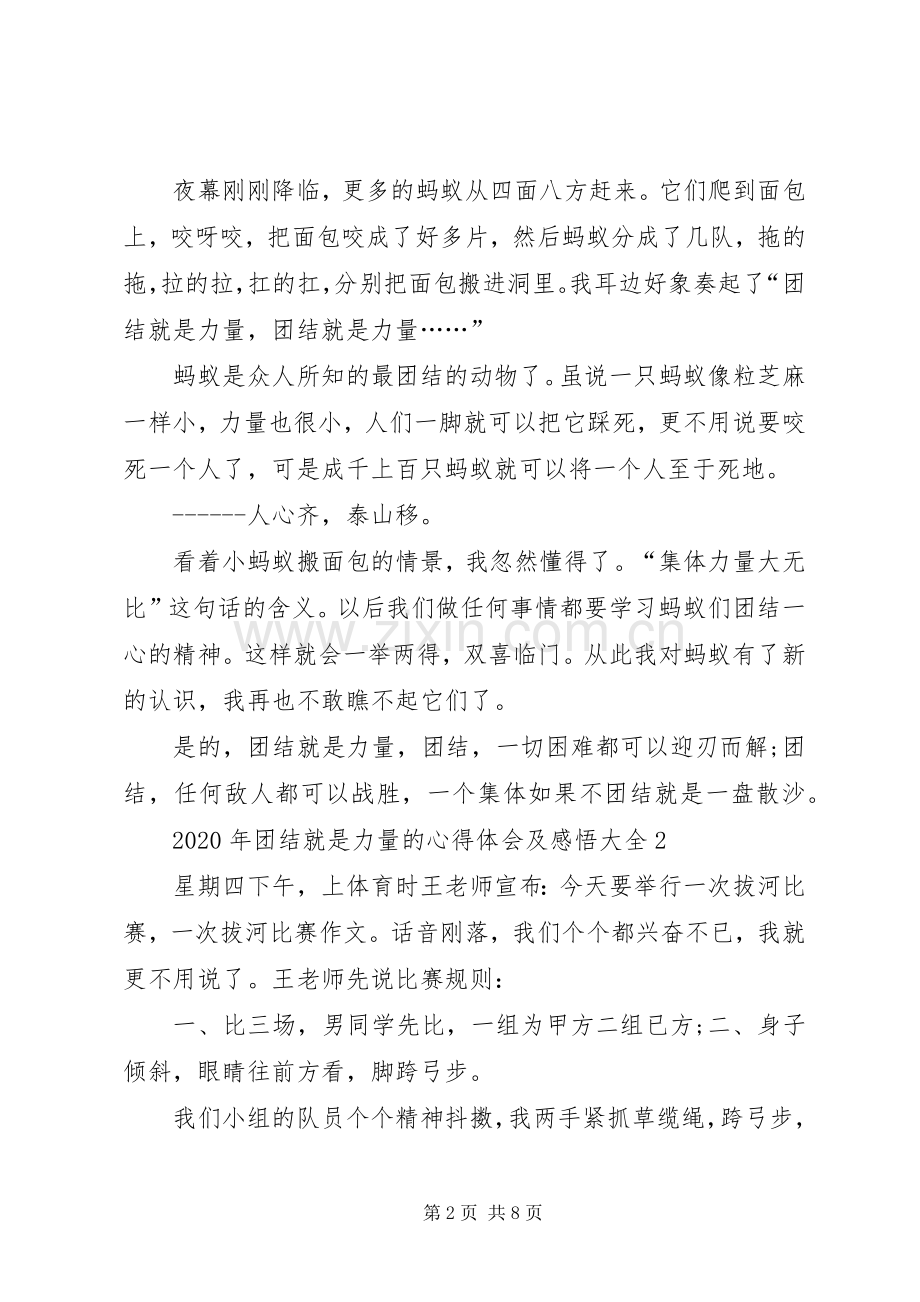 XX年团结就是力量的心得体会及感悟多篇.docx_第2页