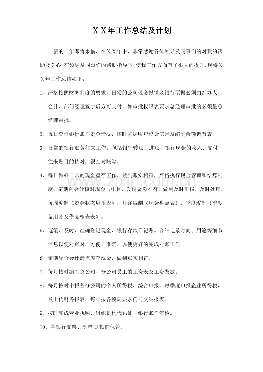 出纳个人年度工作总结及计划.doc_第1页