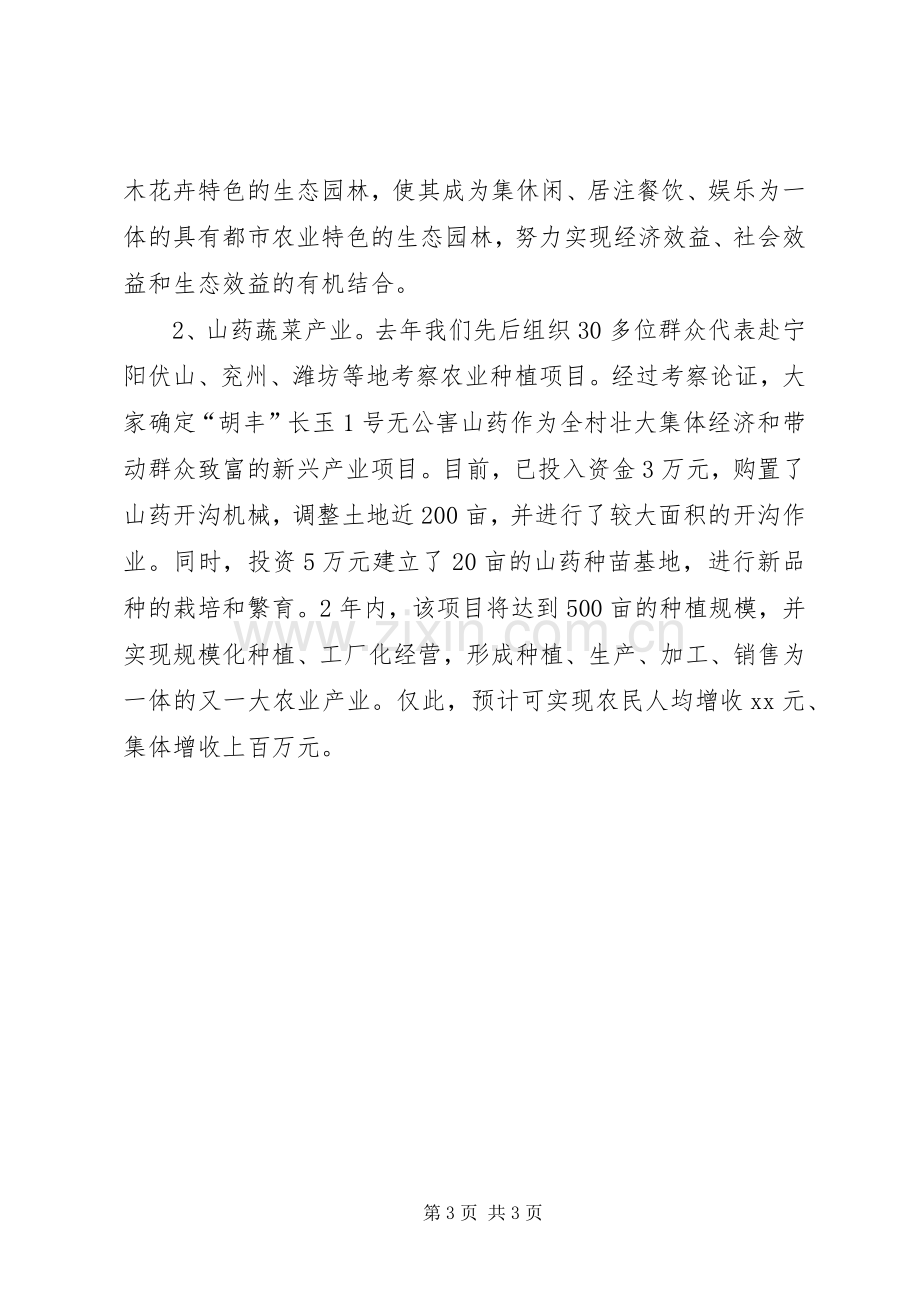 村主任表态发言.docx_第3页