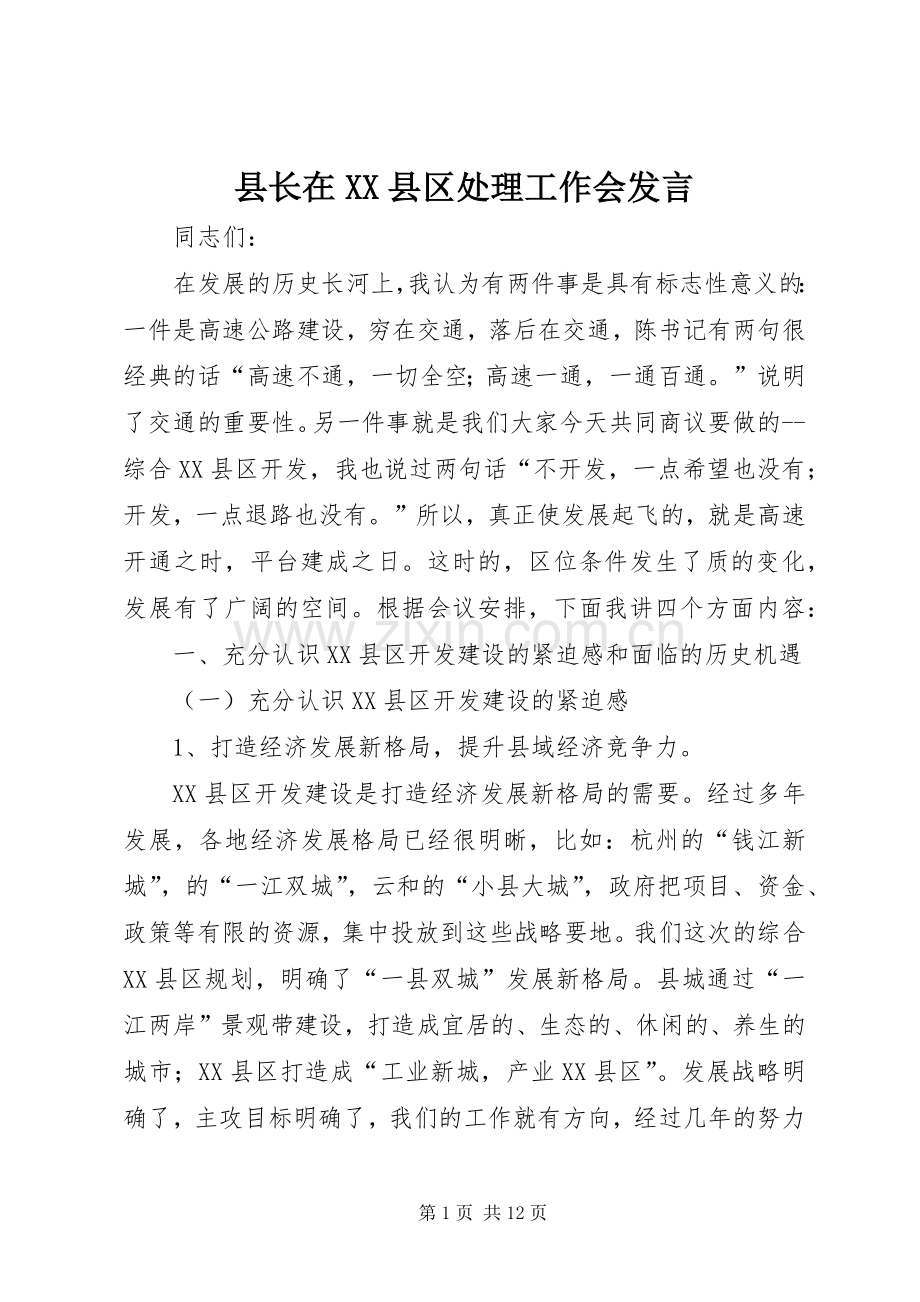 县长在XX县区处理工作会发言.docx_第1页