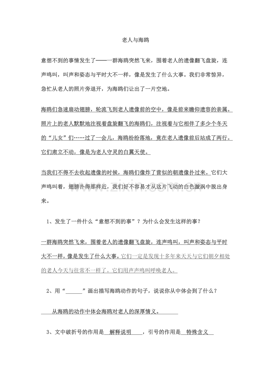 老人与海鸥阅读及答案.doc_第1页