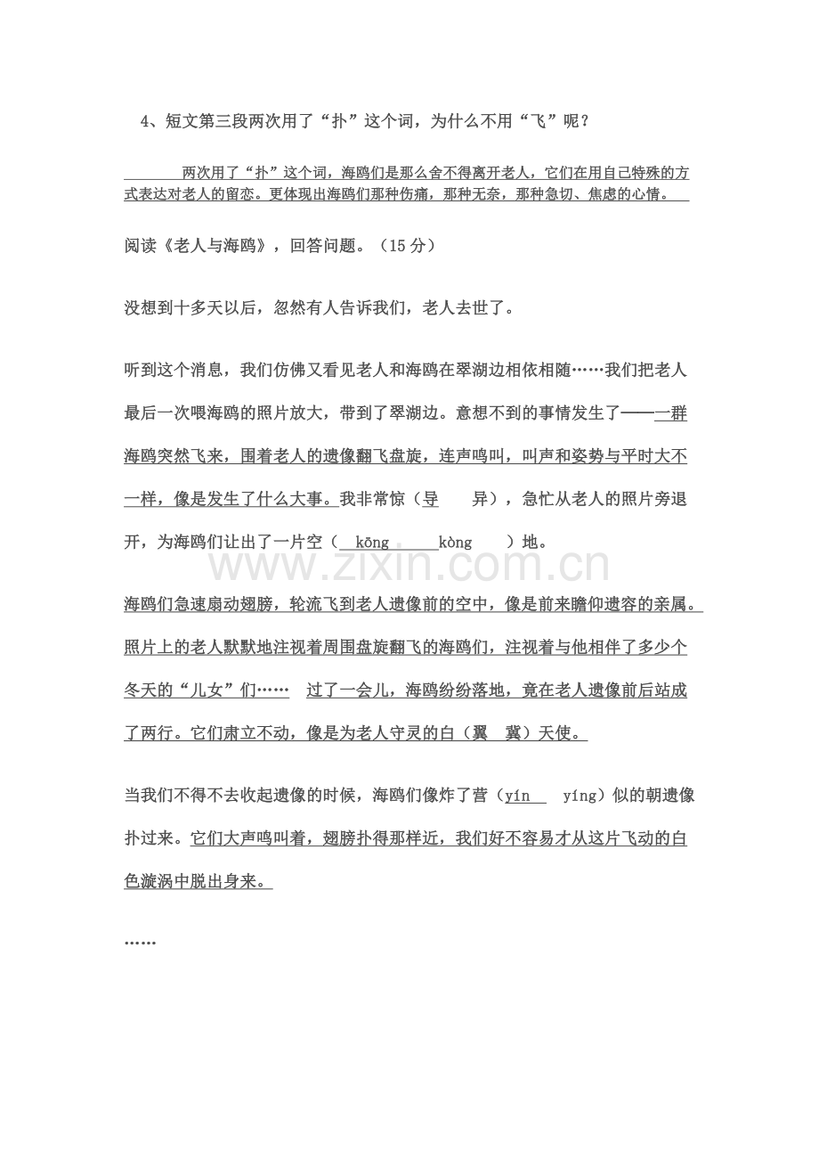 老人与海鸥阅读及答案.doc_第2页