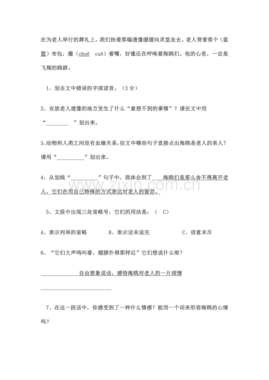 老人与海鸥阅读及答案.doc_第3页