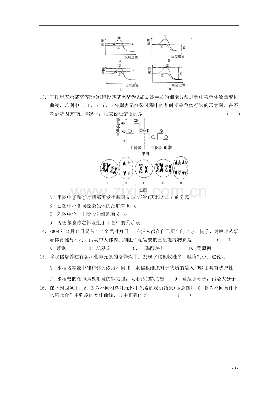 山东省2013年高一生物期末试卷2新人教版.doc_第3页