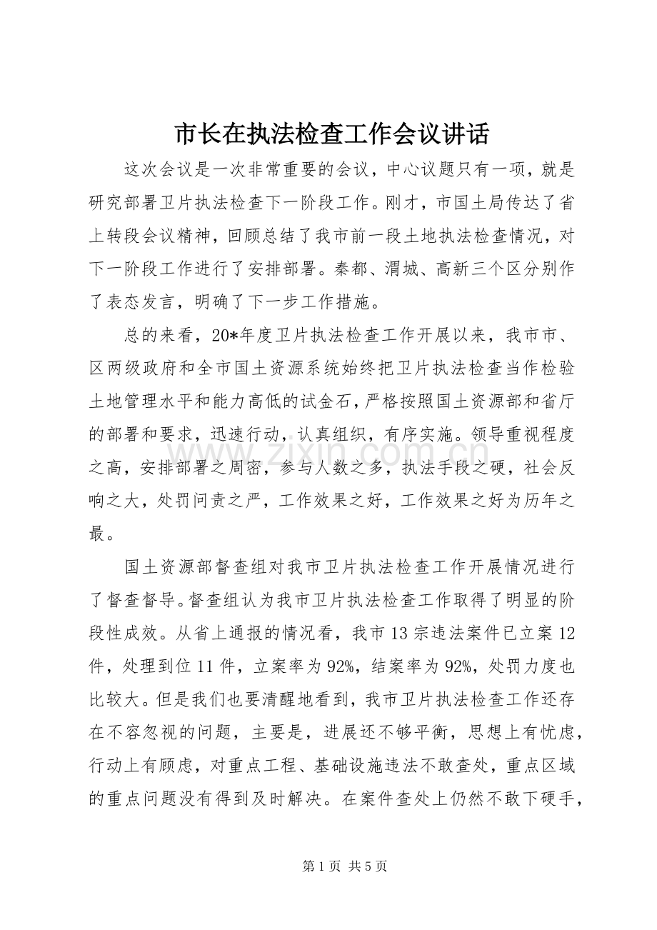 市长在执法检查工作会议讲话.docx_第1页