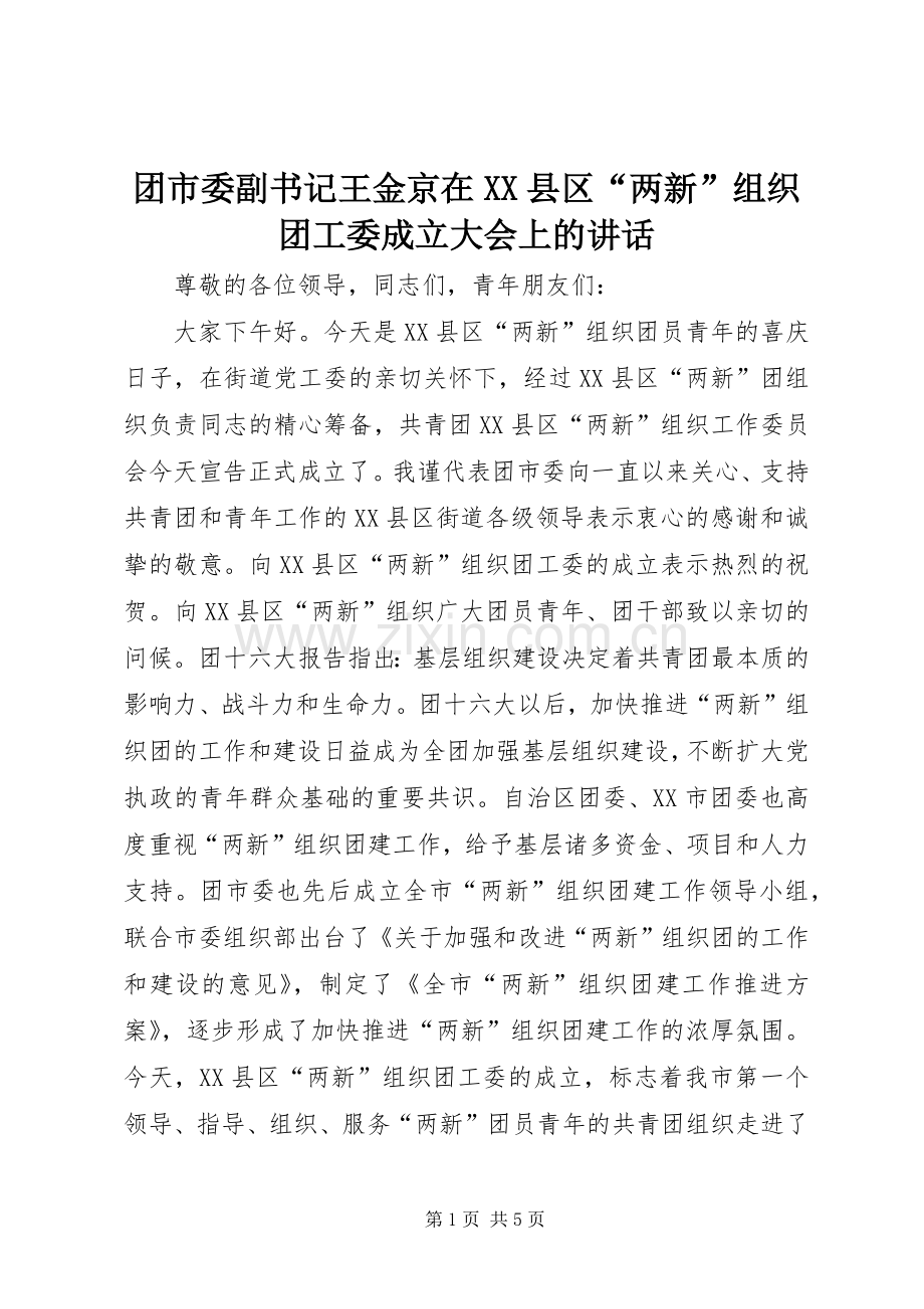 团市委副书记王金京在XX县区“两新”组织团工委成立大会上的讲话.docx_第1页