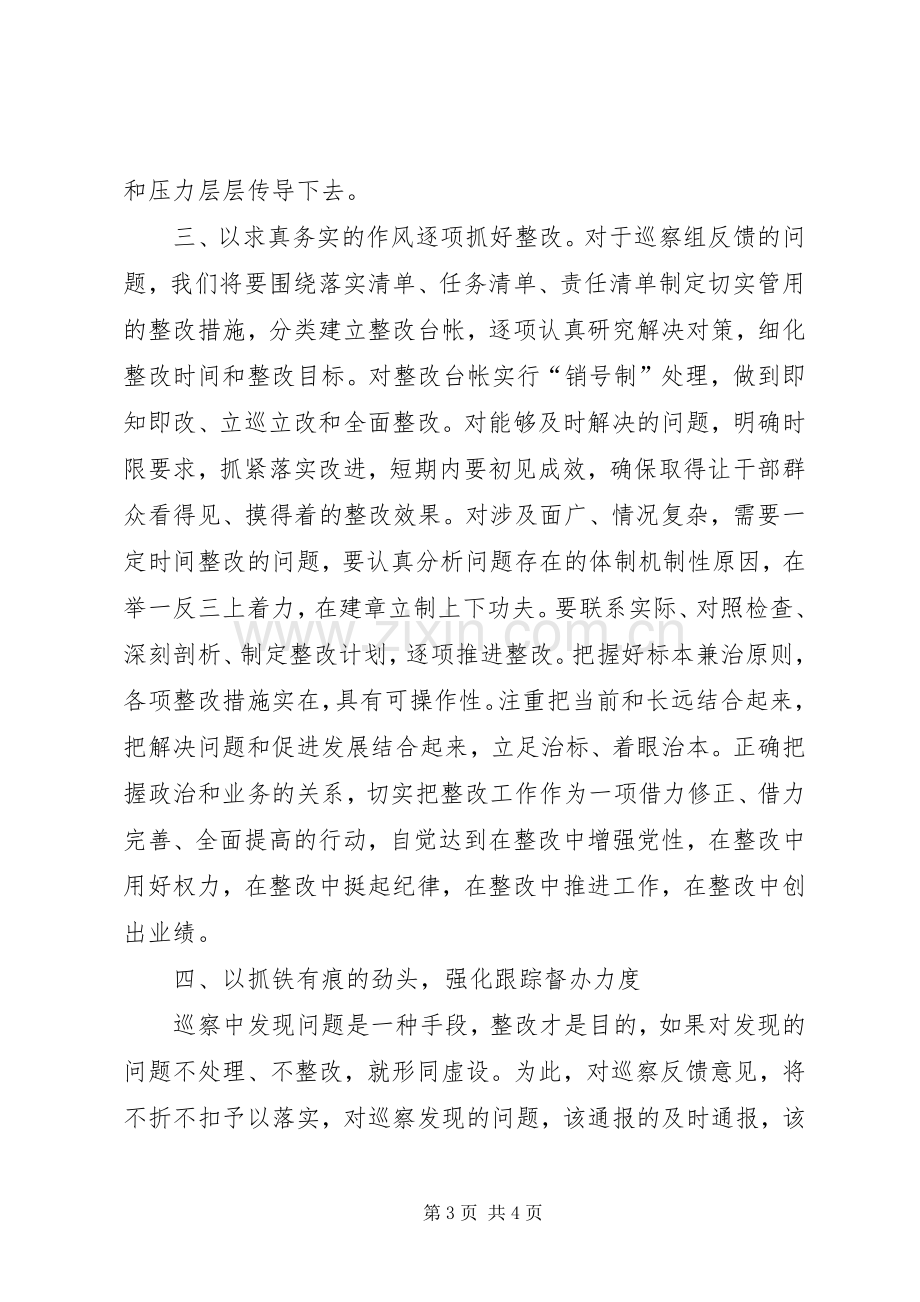 在XX年巡察工作反馈会上的表态发言.docx_第3页