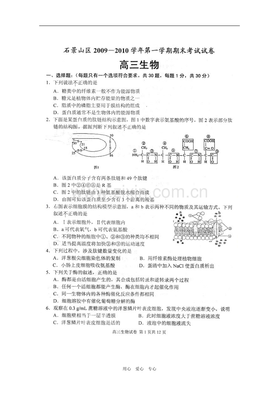 北京市石景山区2010届高三生物上学期期末考试(扫描版)-浙科版-新课标.doc_第1页