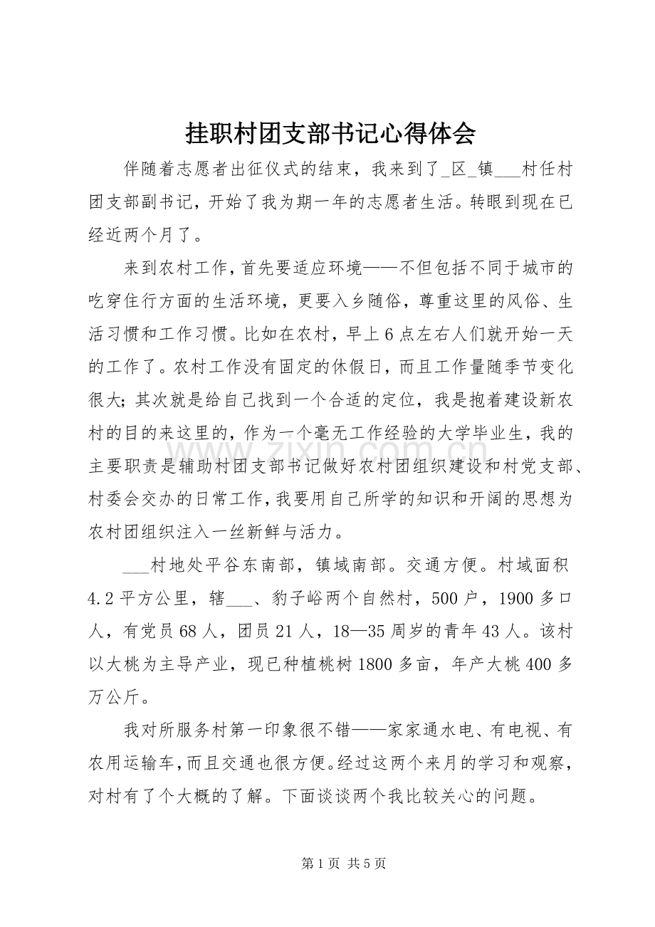 挂职村团支部书记心得体会.docx_第1页