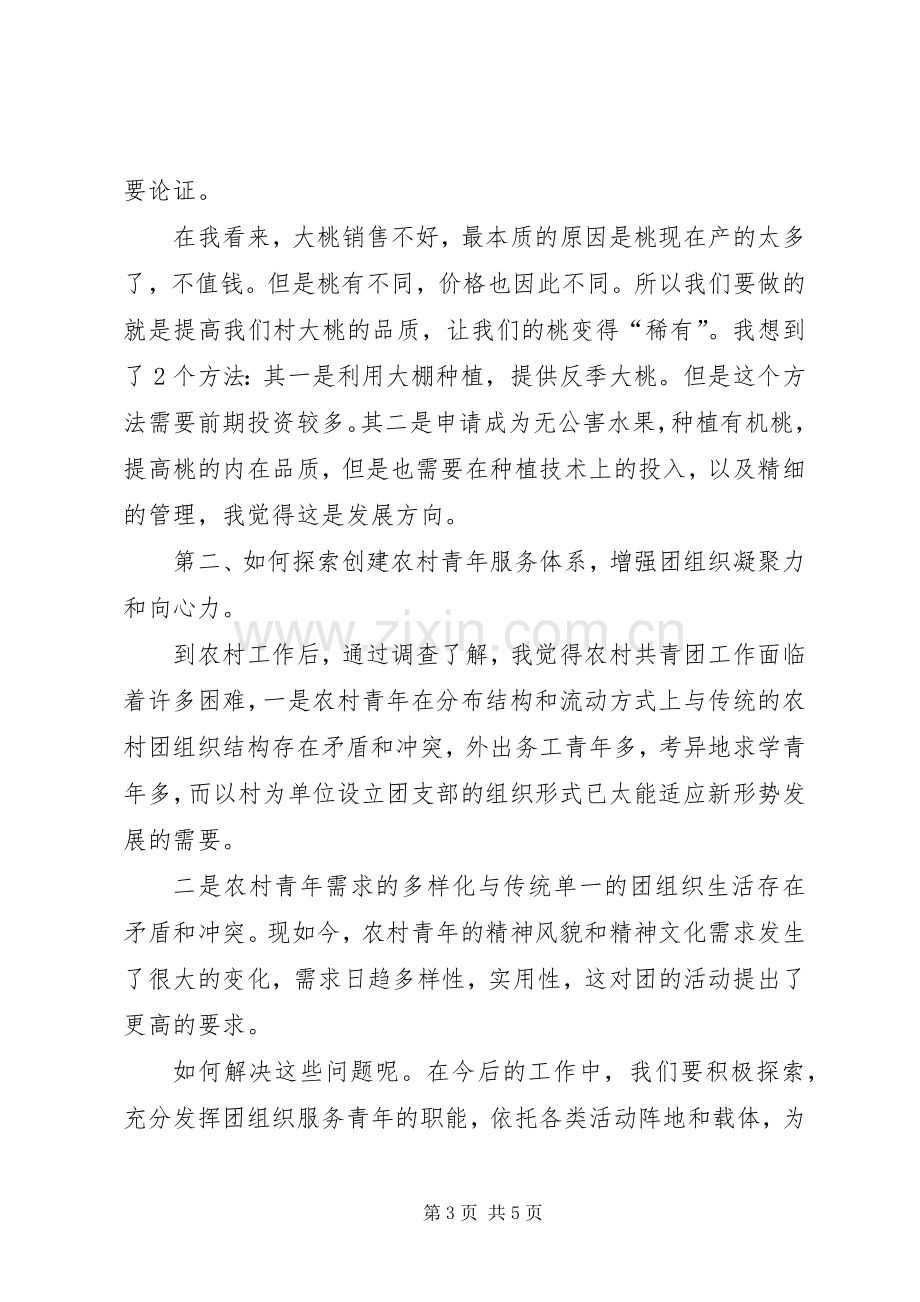 挂职村团支部书记心得体会.docx_第3页