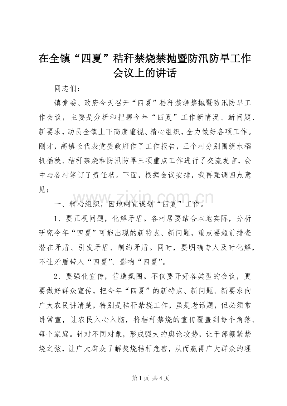 在全镇“四夏”秸秆禁烧禁抛暨防汛防旱工作会议上的讲话.docx_第1页