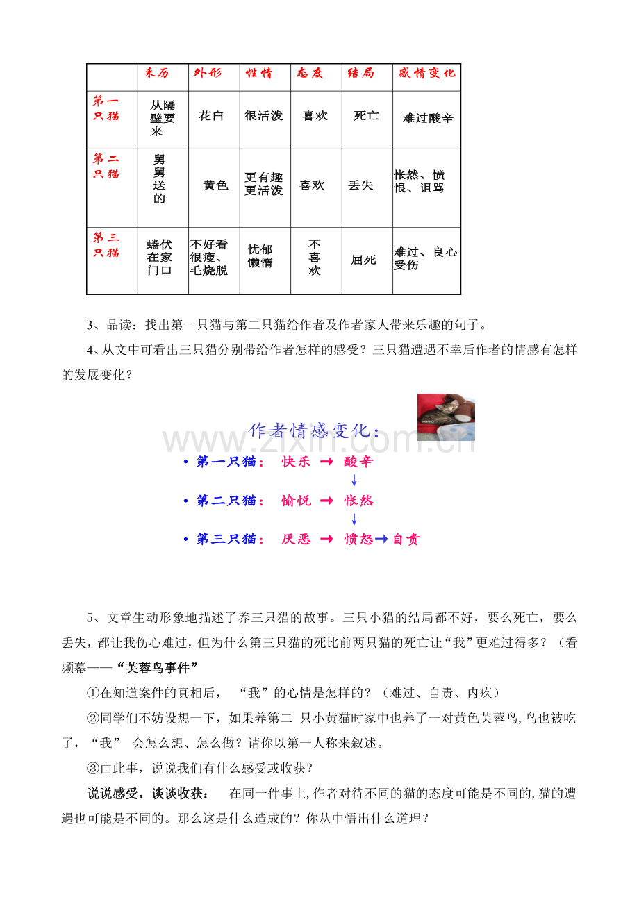 (部编)初中语文人教2011课标版七年级上册郑振铎《猫》教案.doc_第2页