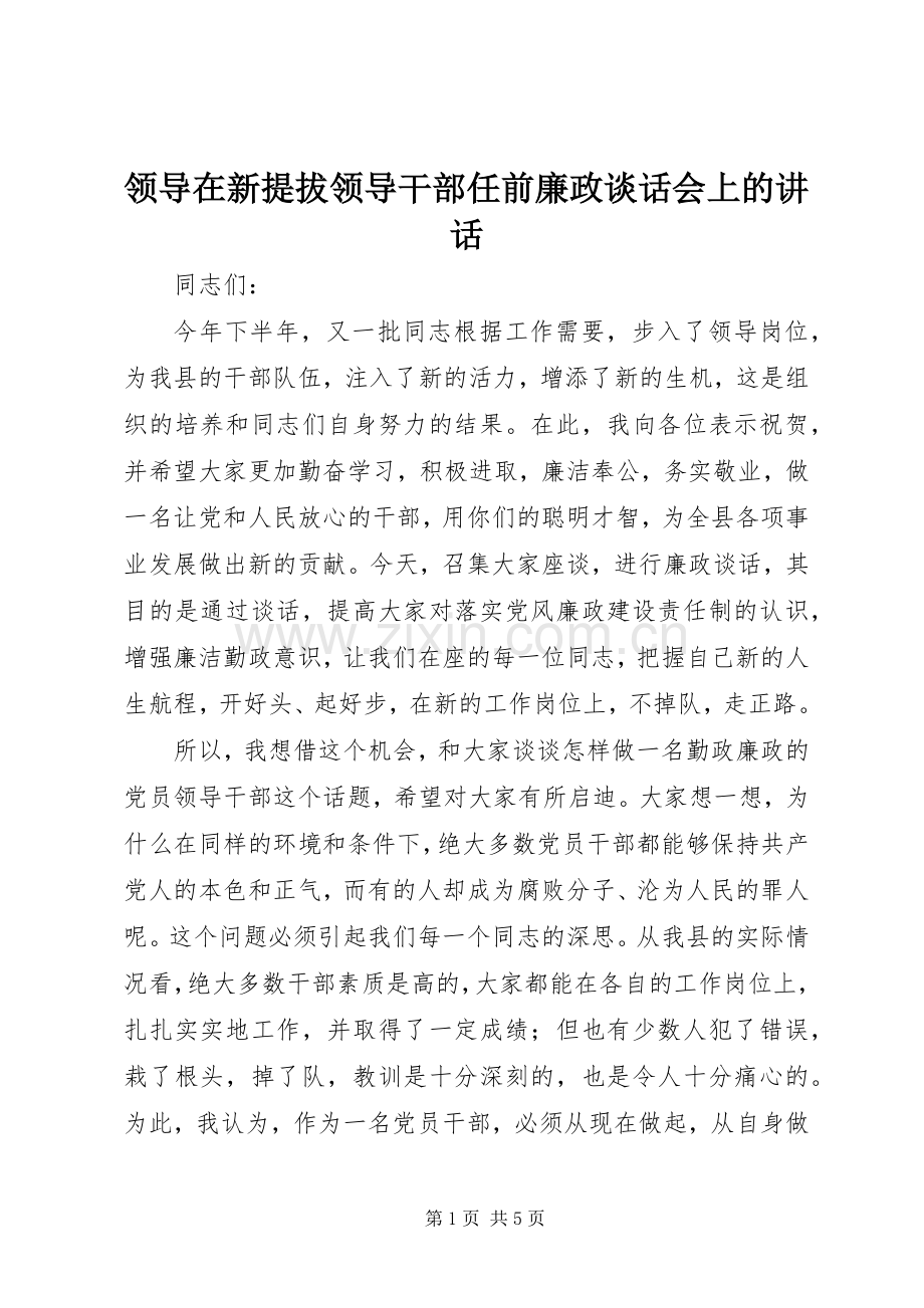 领导在新提拔领导干部任前廉政谈话会上的讲话.docx_第1页