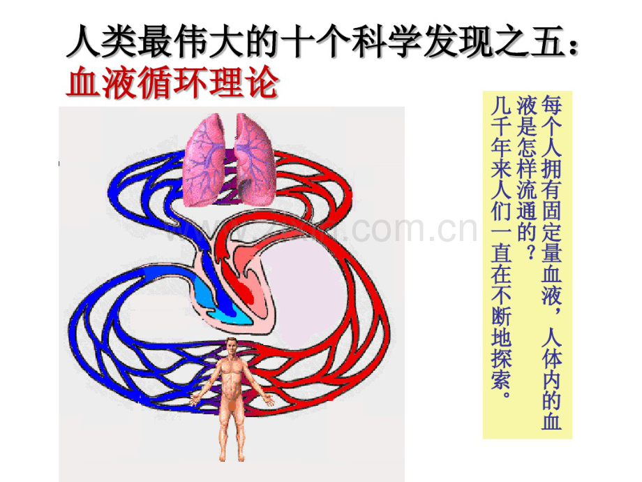 血液循环理论及血流动力学、氧动力学.pdf_第3页